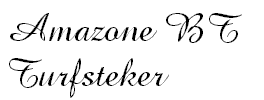 Amazone BT